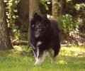 rudel_2 (42)